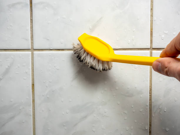 Best Commercial Mold Remediation in Utica, OH